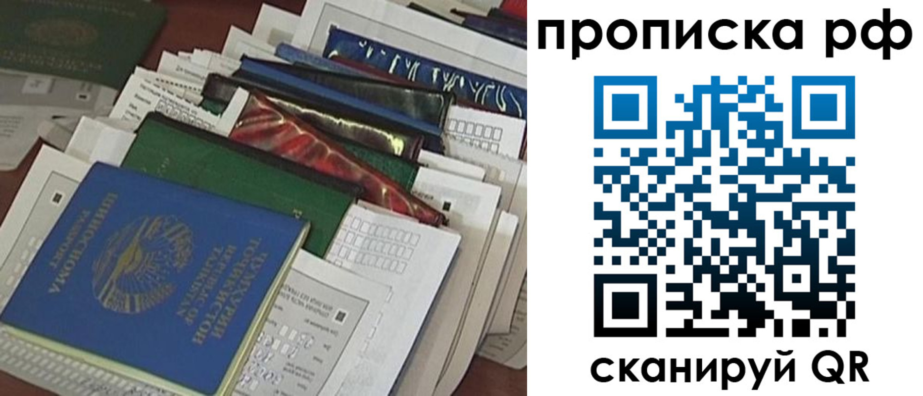 прописка в Советской Гавани